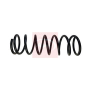 Apec Rear Suspension Coil Spring ACS1920