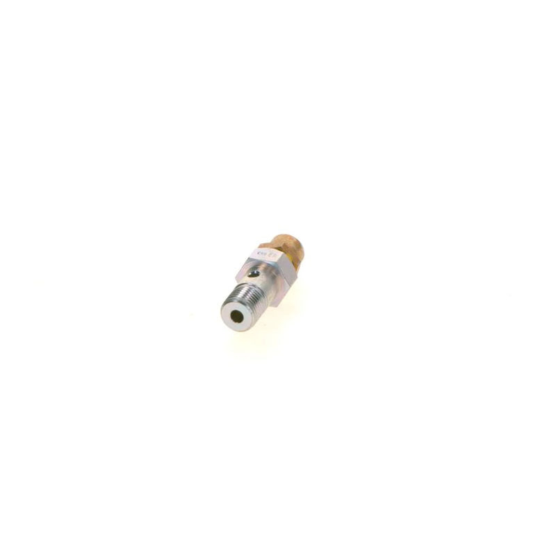 Bosch Fuel Injection Control Valve