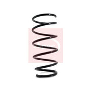 Apec Front Suspension Coil Spring ACS1041
