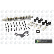 BGA Camshaft Kit Set With Bearings Intake Side CS9901SFK