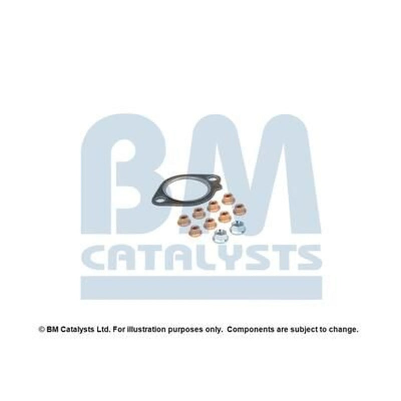 BM Catalysts Fitting Kit FK91455B FK91455B