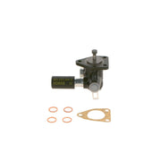 Bosch Fuel Pump Assembly