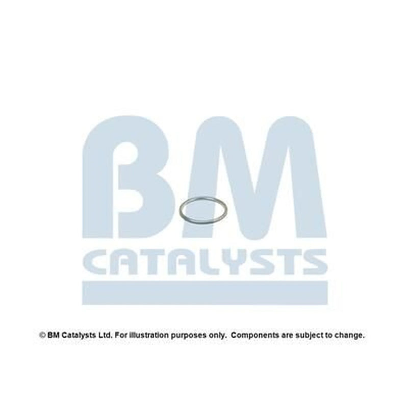 BM Catalysts Exhaust Pipe Mounting Kit