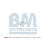 BM Catalysts Exhaust Pipe Mounting Kit FK51067A
