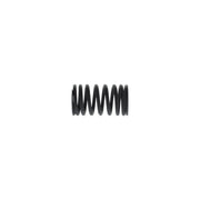 Bosch Compression Spring