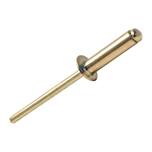 Forgefix Aluminium Rivets 4.8 x 20mm Bag of 100 ForgeFix - Dynamic Drive