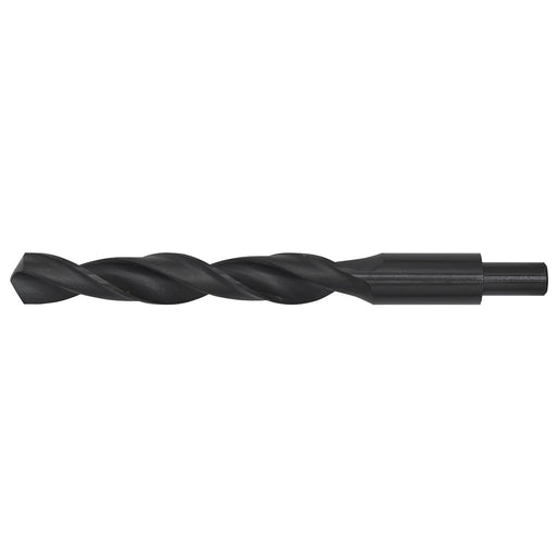 Sealey Blacksmith Bit20 x 205mm BSB20.0 Sealey - Dynamic Drive
