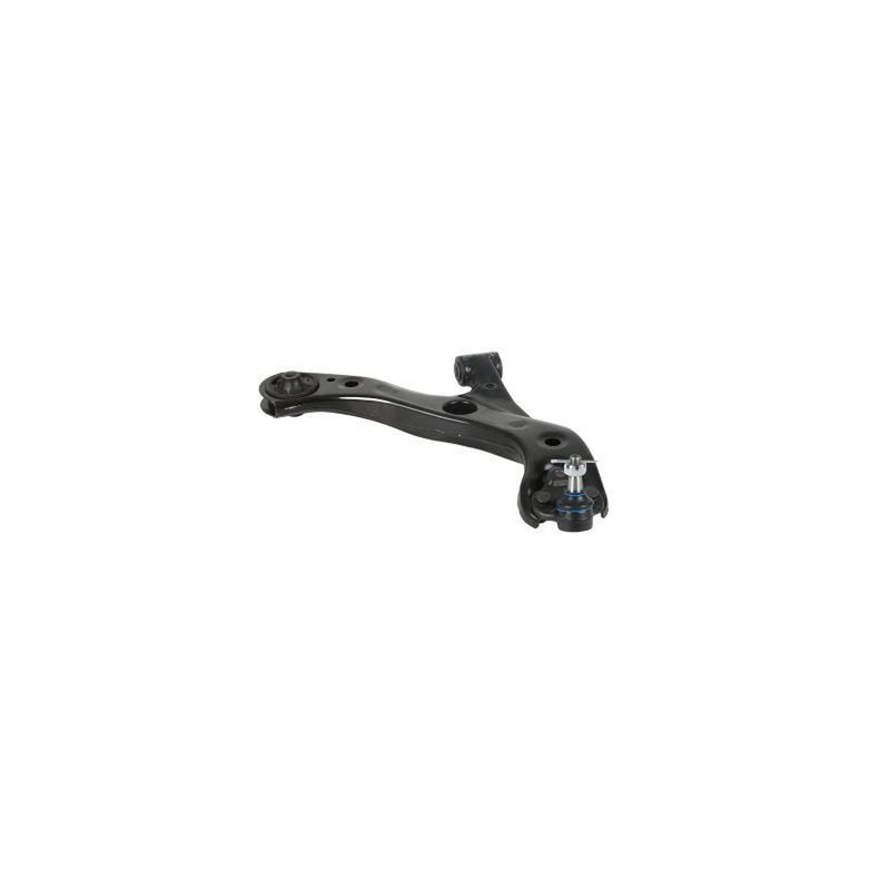Delphi Control/Trailing Arm Lower fits Suzuki Swace 2020 on 1.8