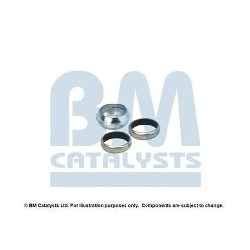BM Catalysts Fitting Kit FK91257A FK91257A