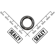 Sealey Piston Gland