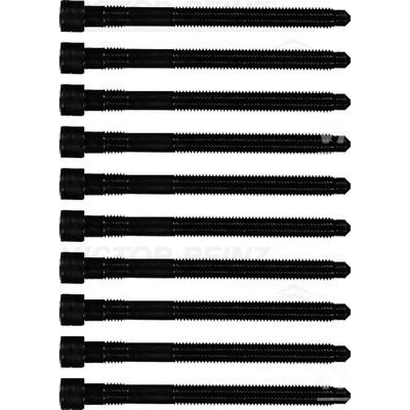 Victor Reinz Cylinder Head Bolt Set M10 14-32127-02