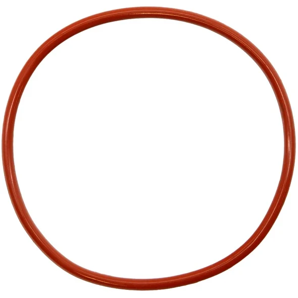 Sealey O-ring for Cylinder