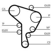 Continental CTAM Timing Belt Kit with Rollers fits Audi A3 1996-2001 1.9