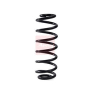 Apec Front & Rear Shock Absorbers & Suspension Springs fits VW Passat B6
