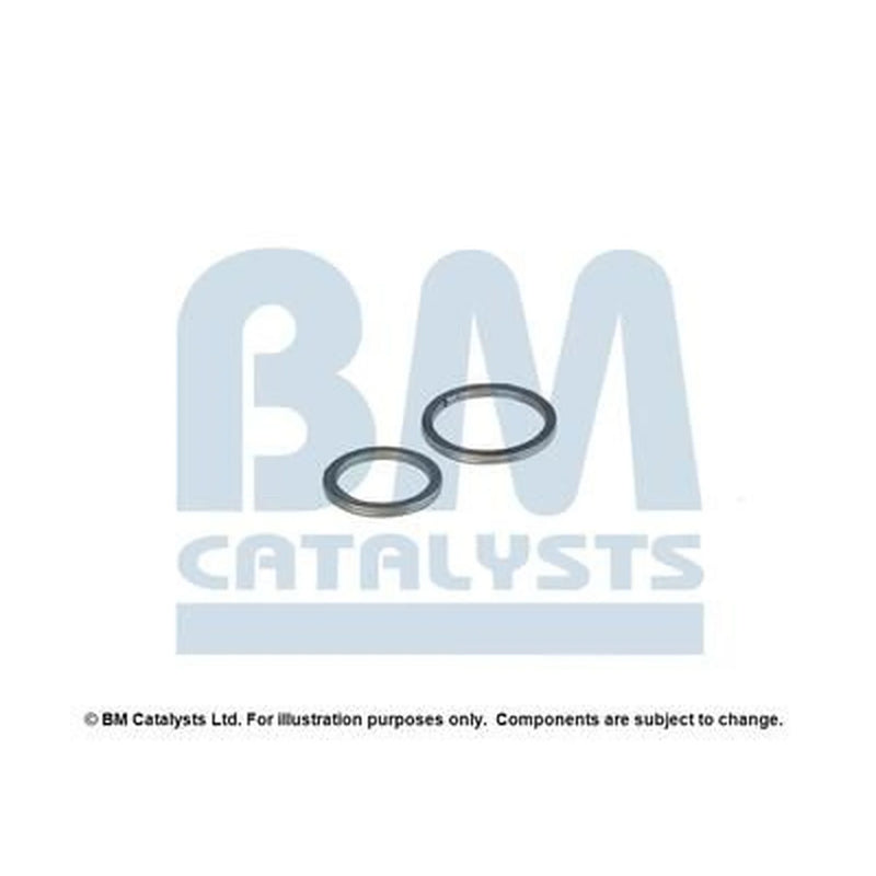 BM Catalysts Fitting Kit FK91912A FK91912A