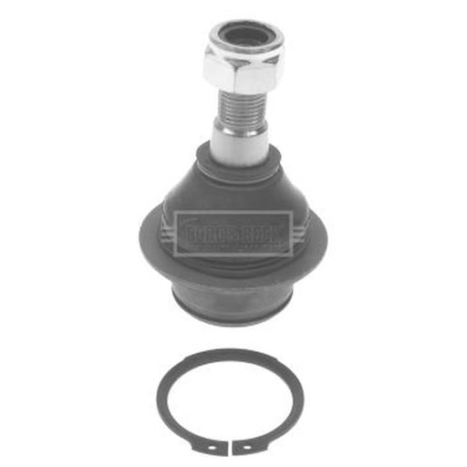 Borg & Beck Ball Joint Lower BBJ5419