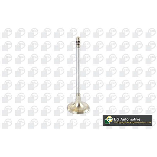 BGA Engine Exhaust Valve Head fits BMW 3 1989-2006
