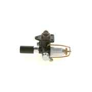Bosch Fuel Pump Assembly