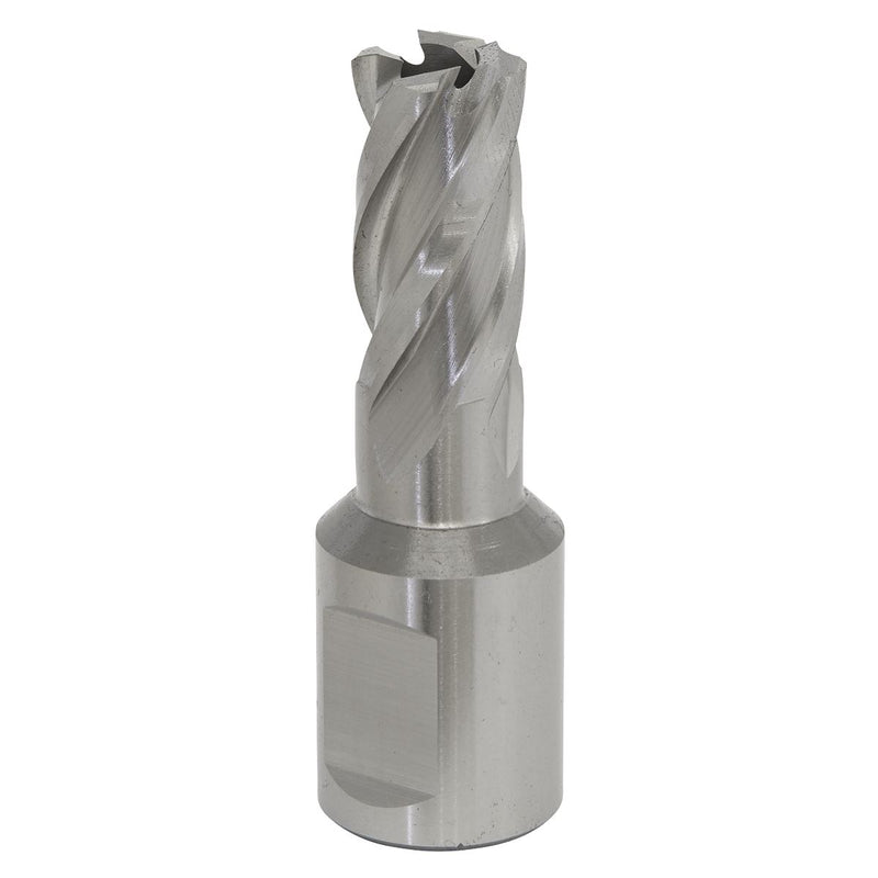 Sealey Rotabor Cutter HSS12mm Cut Depth 25mm RBHSS12S Sealey - Dynamic Drive