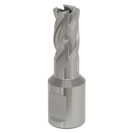 Sealey Rotabor Cutter HSS12mm Cut Depth 25mm RBHSS12S Sealey - Dynamic Drive