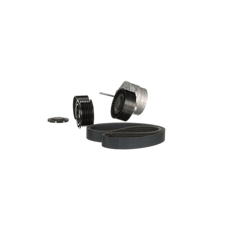 Gates V-Ribbed Belt Set K136PK2460