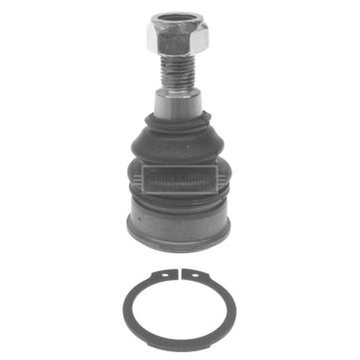 Borg & Beck Ball Joint Lower BBJ5584