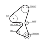 Gates Timing Belt Kit with Rollers fits Citroën Berlingo First 2005-2011 1.6