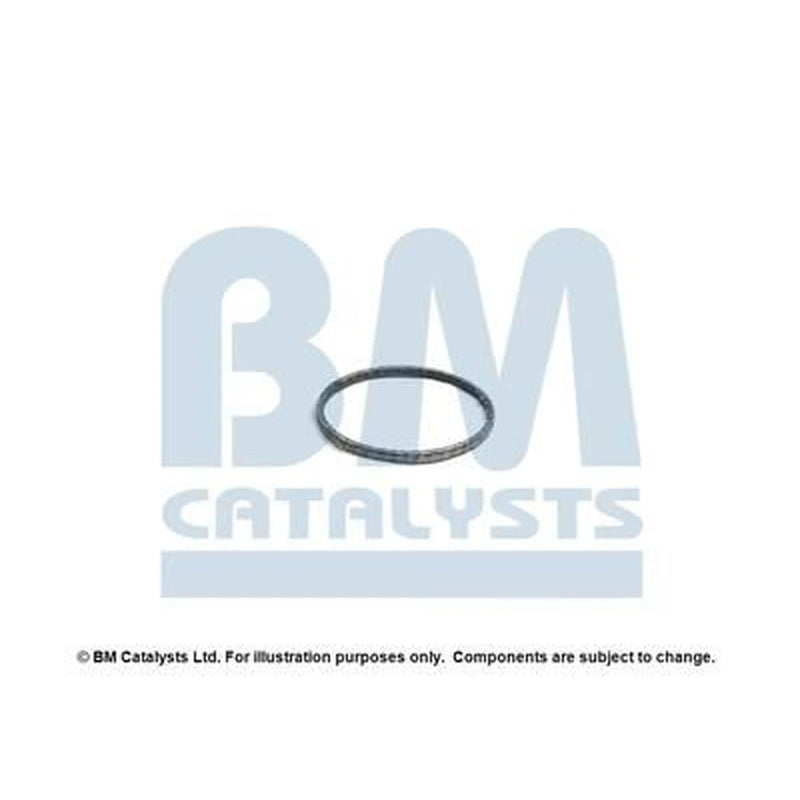 BM Catalysts Fitting Kit FK92798A FK92798A