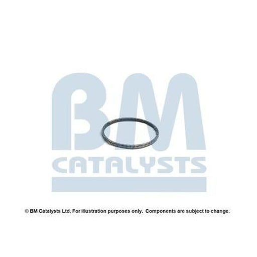 BM Catalysts Fitting Kit FK92798A FK92798A