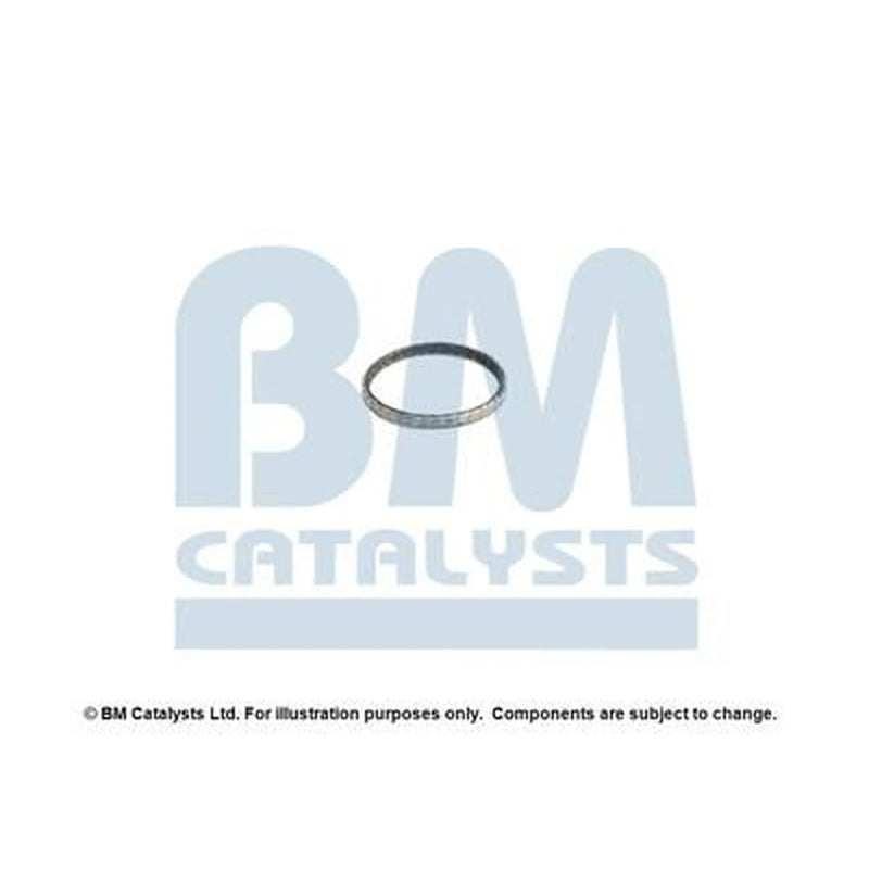 BM Catalysts Fitting Kit FK92458A FK92458A