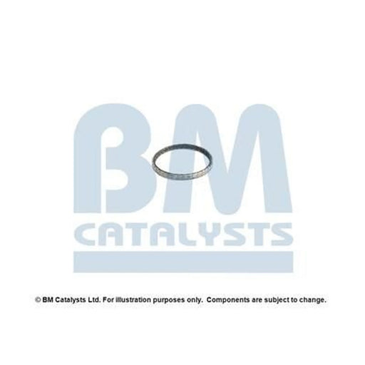BM Catalysts Fitting Kit FK92374A FK92374A