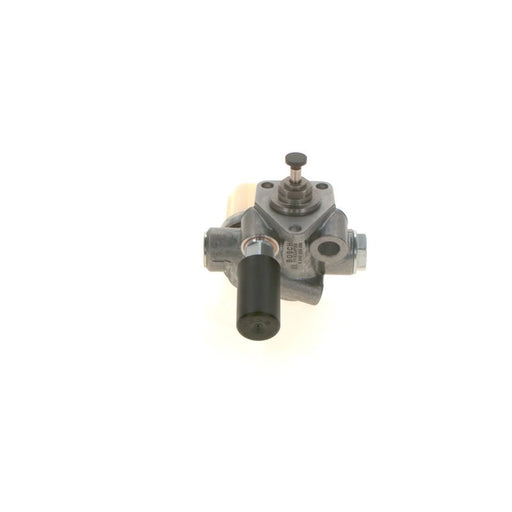 Bosch Fuel Pump Assembly