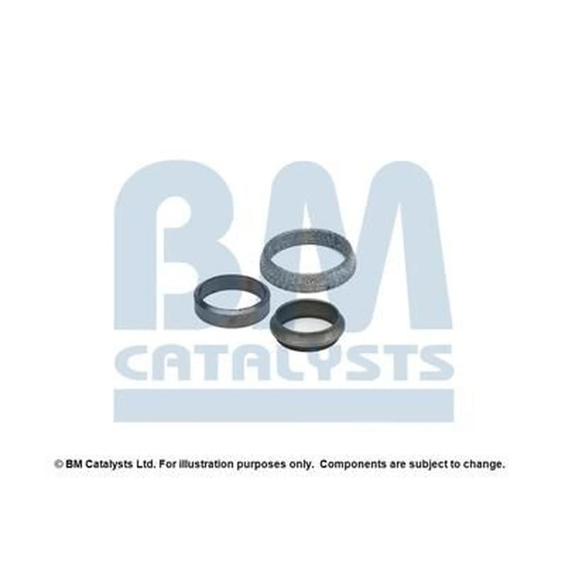BM Catalysts Fitting Kit FK80190A FK80190A
