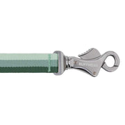 Ruffwear Roamer Bungee Dog Running Lead River Rock Green (2.2 - 3.4m) Ruffwear - Bars 4 Cars