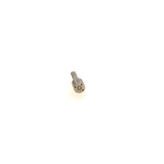 Bosch Fuel Injector Nozzle