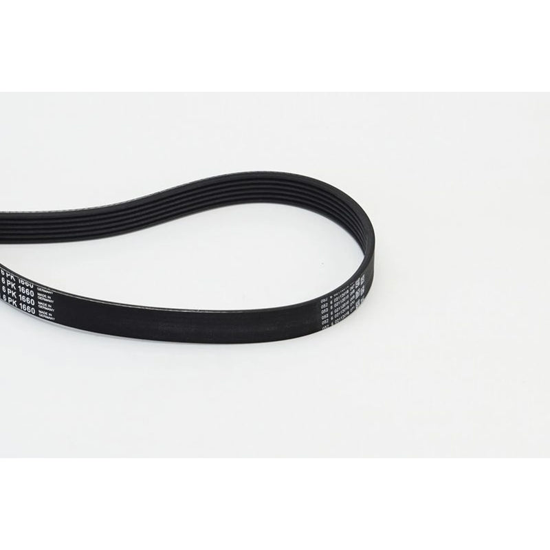 Continental CTAM Multi V-Ribbed Drive Belt fits Audi A3 1996-2001 1.9
