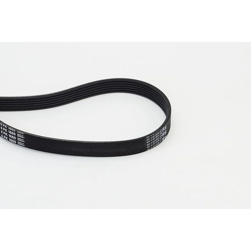 Continental CTAM Multi V-Ribbed Drive Belt fits Audi A3 1996-2001 1.9