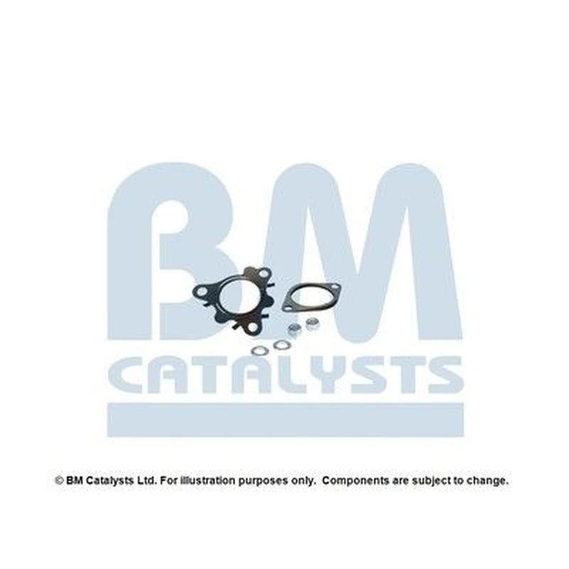 BM Catalysts Fitting Kit FK11183B FK11183B