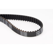 Continental CTAM Timing Belt Cambelt 99 Teeth fits Hyundai Galloper I 1991-1998