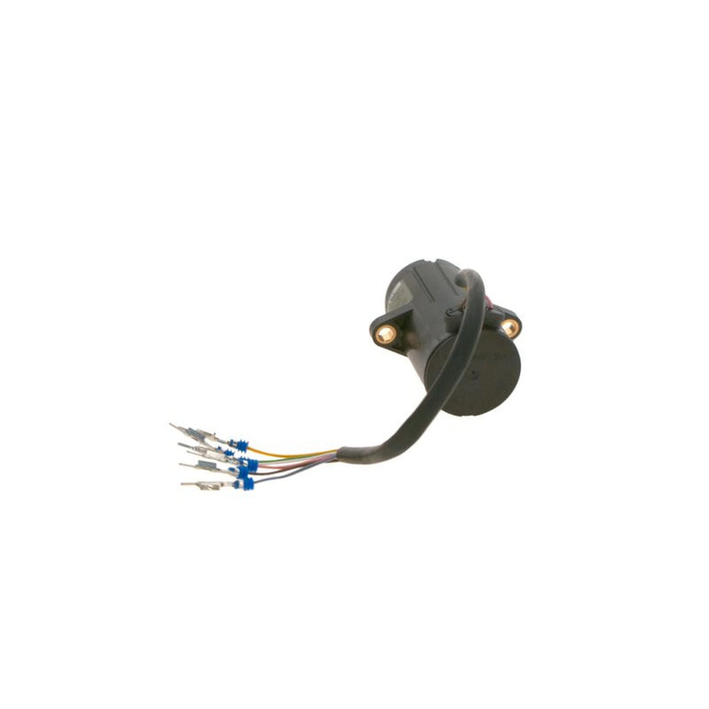 Bosch Accelerator Pedal Position Sensor