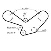 Gates Timing Belt Cambelt 219 Teeth 5096