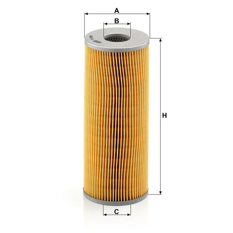 MANN-FILTER Service Kit with Air & Oil Filters fits Daf F 2600 1972-1973