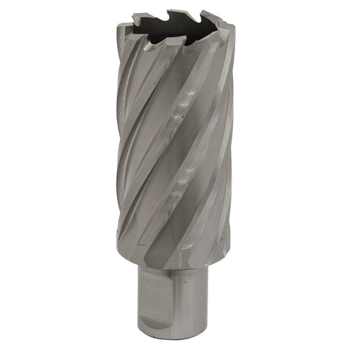 Sealey Rotabor Cutter HSS31mm Cut Depth 50mm RBHSS31L Sealey - Dynamic Drive