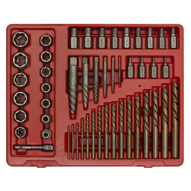 Sealey Master Extractor Set 49pc AK8149 Sealey - Dynamic Drive