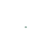 Bosch Rubber Seal Ring