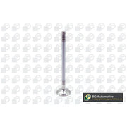 BGA Engine Exhaust Valve 22mm Head V203633