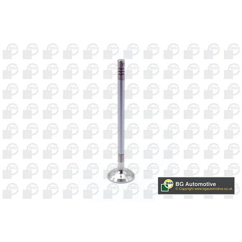 BGA Engine Exhaust Valve 22mm Head V203633
