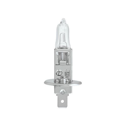 Ring 24V 70W H1 Bulb - R466 Ring  - Dynamic Drive