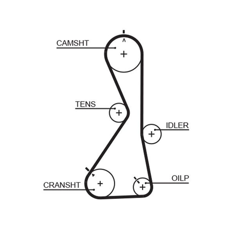 Gates Timing Belt Cambelt 122 Teeth fits Mitsubishi Galant 1996-2003 2.0