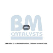 BM Catalysts Fitting Kit FK92154A FK92154A